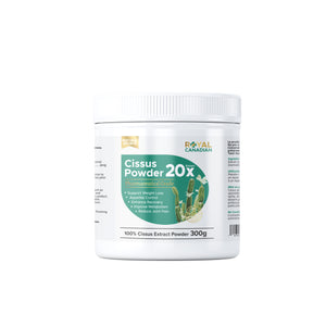 Cissus Powder 20x Extract 300g